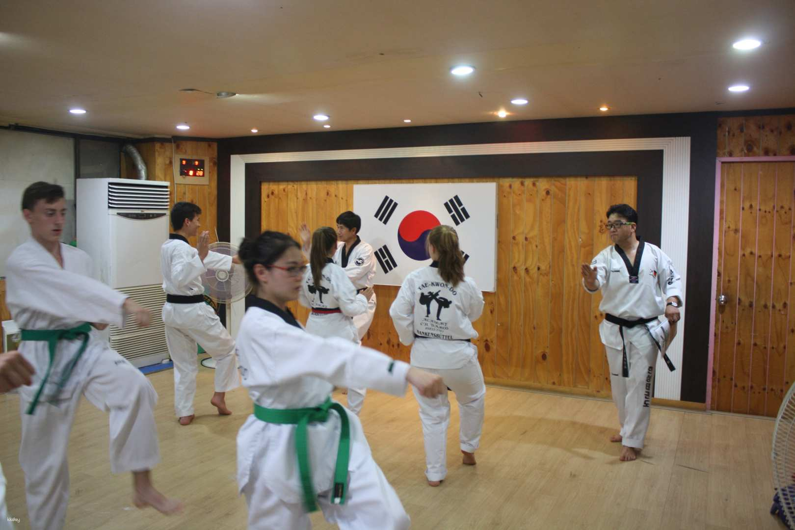 Combat Taekwondo Experience | Daegu - Photo 1 of 8